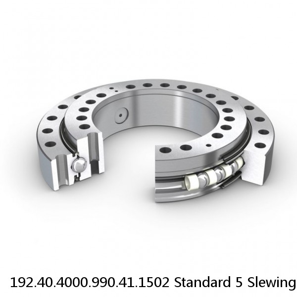 192.40.4000.990.41.1502 Standard 5 Slewing Ring Bearings