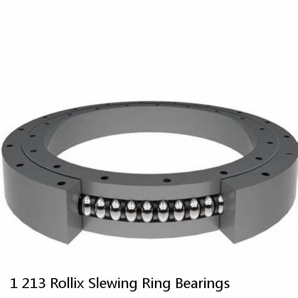 1 213 Rollix Slewing Ring Bearings