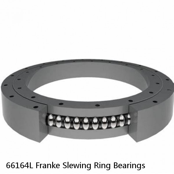 66164L Franke Slewing Ring Bearings