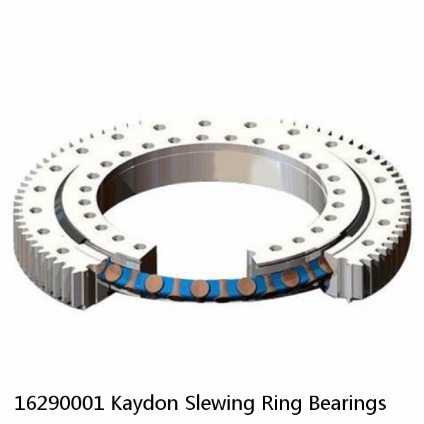 16290001 Kaydon Slewing Ring Bearings