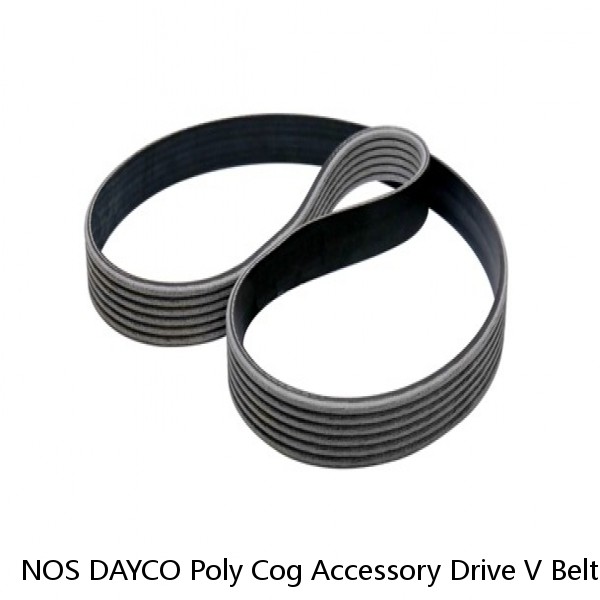 NOS DAYCO Poly Cog Accessory Drive V Belt 15585 11A1485 #1 small image