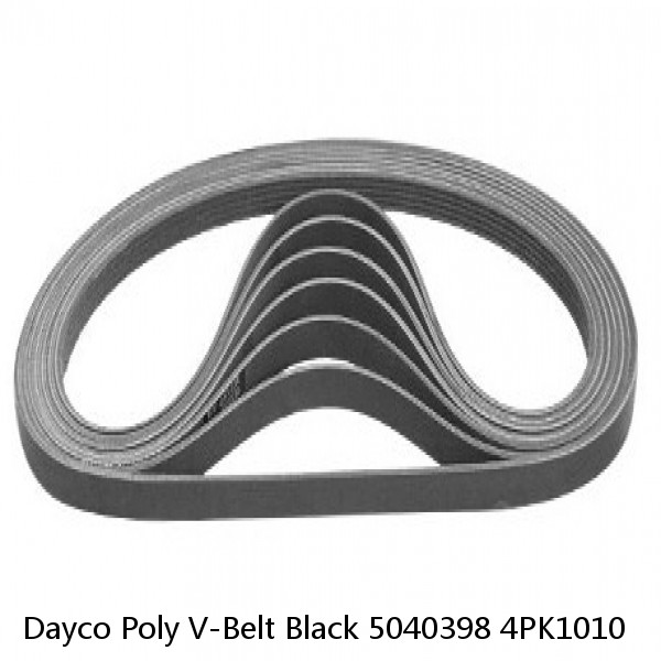 Dayco Poly V-Belt Black 5040398 4PK1010 #1 small image