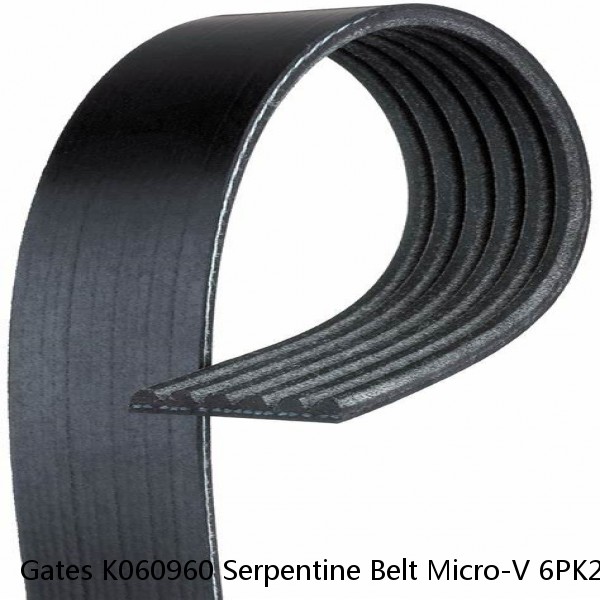 Gates K060960 Serpentine Belt Micro-V 6PK2439 #1 small image