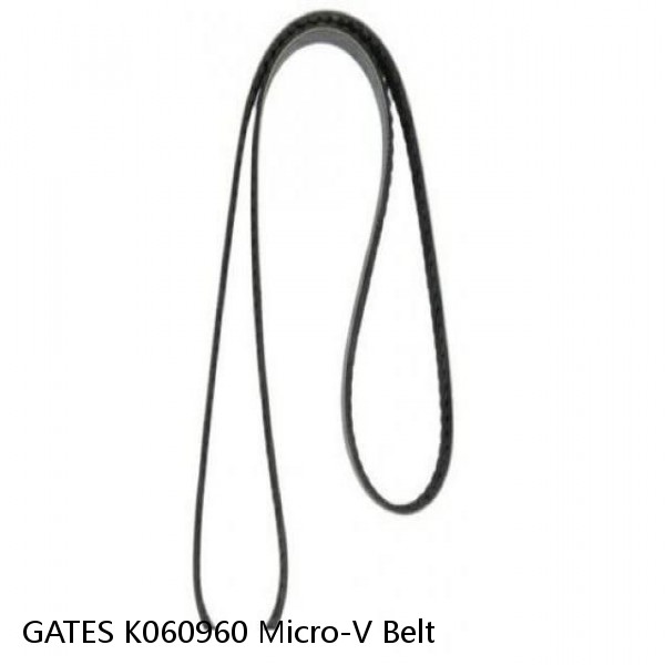 GATES K060960 Micro-V Belt #1 small image