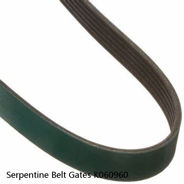 Serpentine Belt Gates K060960 #1 small image