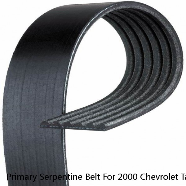 Primary Serpentine Belt For 2000 Chevrolet Tahoe 5.7L W A.C 100A 105A ALT #1 small image