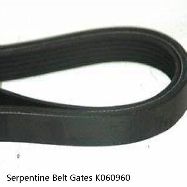 Serpentine Belt Gates K060960 #1 small image