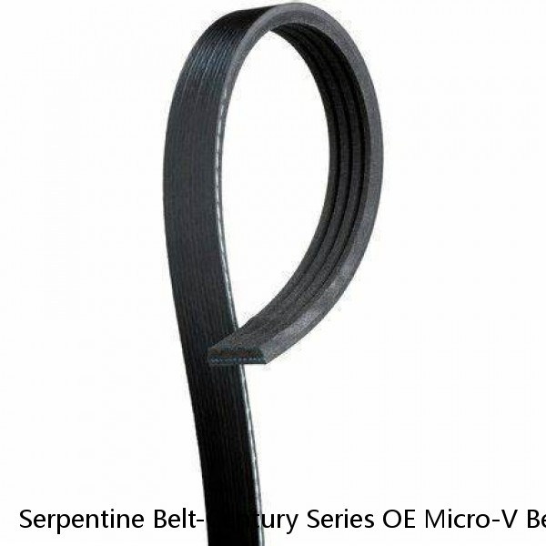 Serpentine Belt-Century Series OE Micro-V Belt GATES K040345 #1 small image