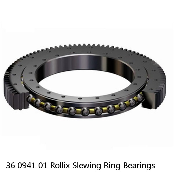 36 0941 01 Rollix Slewing Ring Bearings #1 image