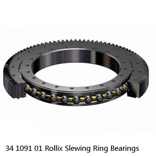 34 1091 01 Rollix Slewing Ring Bearings #1 image