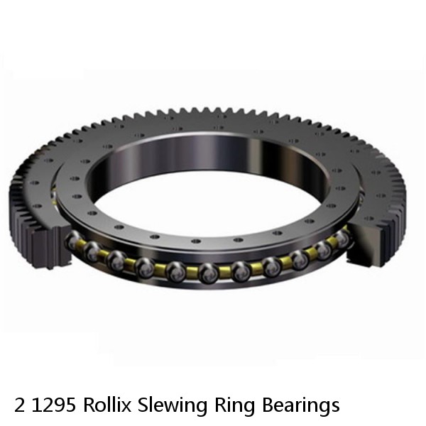 2 1295 Rollix Slewing Ring Bearings #1 image