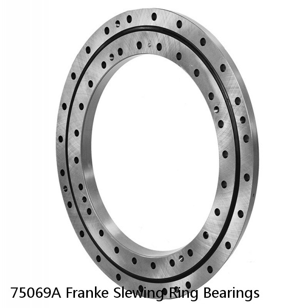 75069A Franke Slewing Ring Bearings #1 image