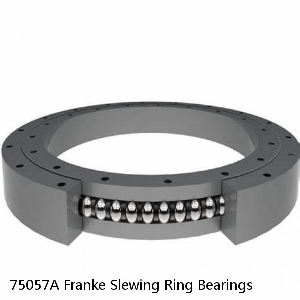75057A Franke Slewing Ring Bearings #1 image