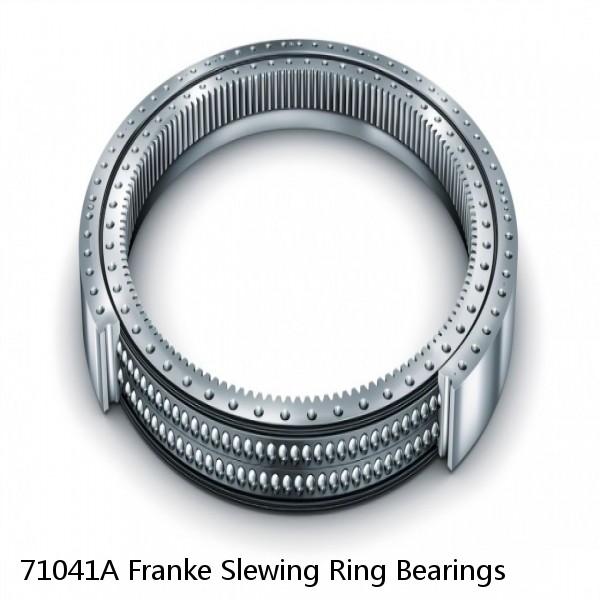 71041A Franke Slewing Ring Bearings #1 image