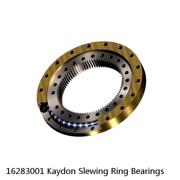 16283001 Kaydon Slewing Ring Bearings #1 image