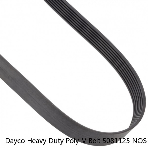 Dayco Heavy Duty Poly-V Belt 5081125 NOS #1 image