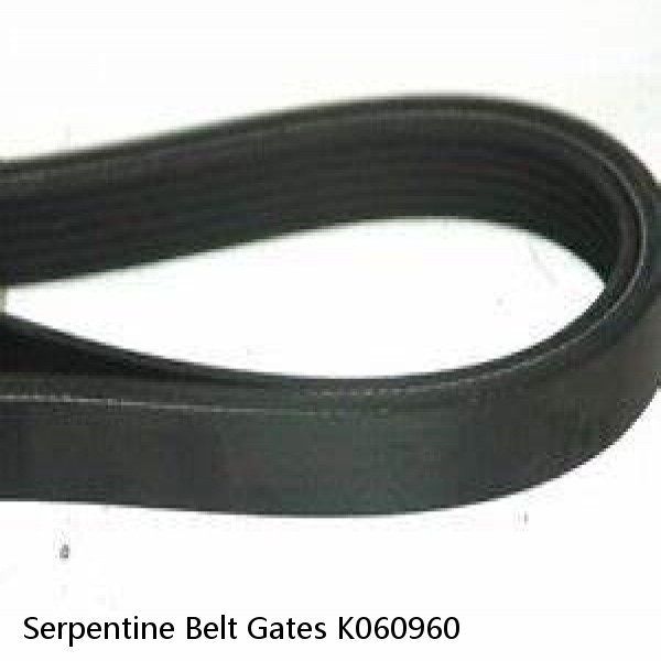 Serpentine Belt Gates K060960 #1 image