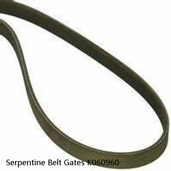 Serpentine Belt Gates K060960 #1 image