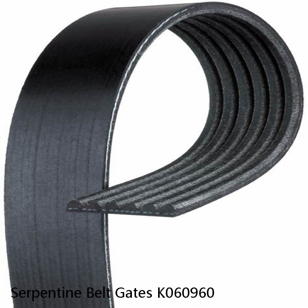 Serpentine Belt Gates K060960 #1 image