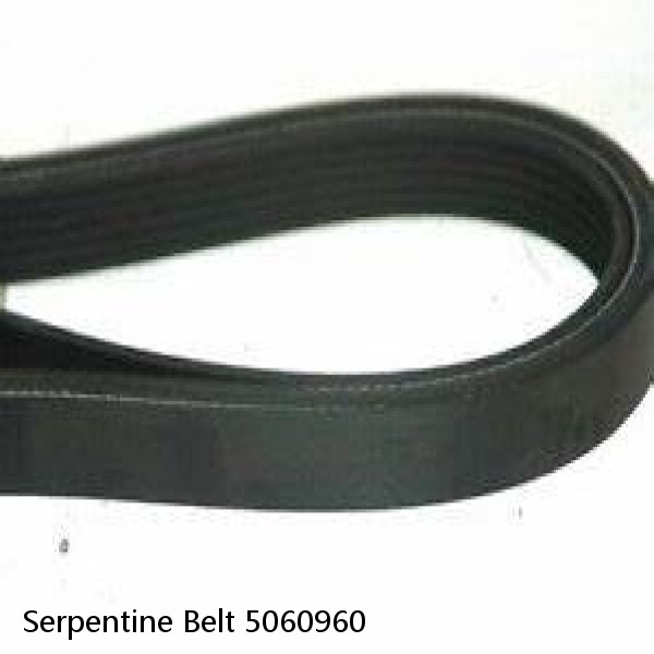 Serpentine Belt 5060960 #1 image
